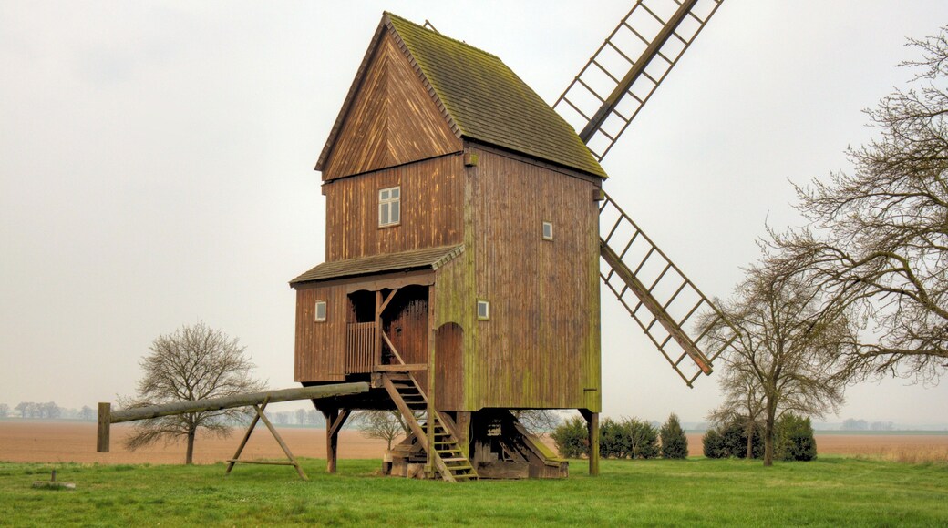 Bockwindmühle Altbelgern