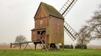 A wooden windmill with a large wooden windlass.