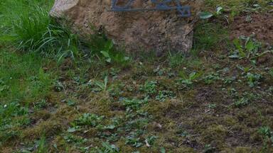 Eisenbach, Kreuzweg Annaberg