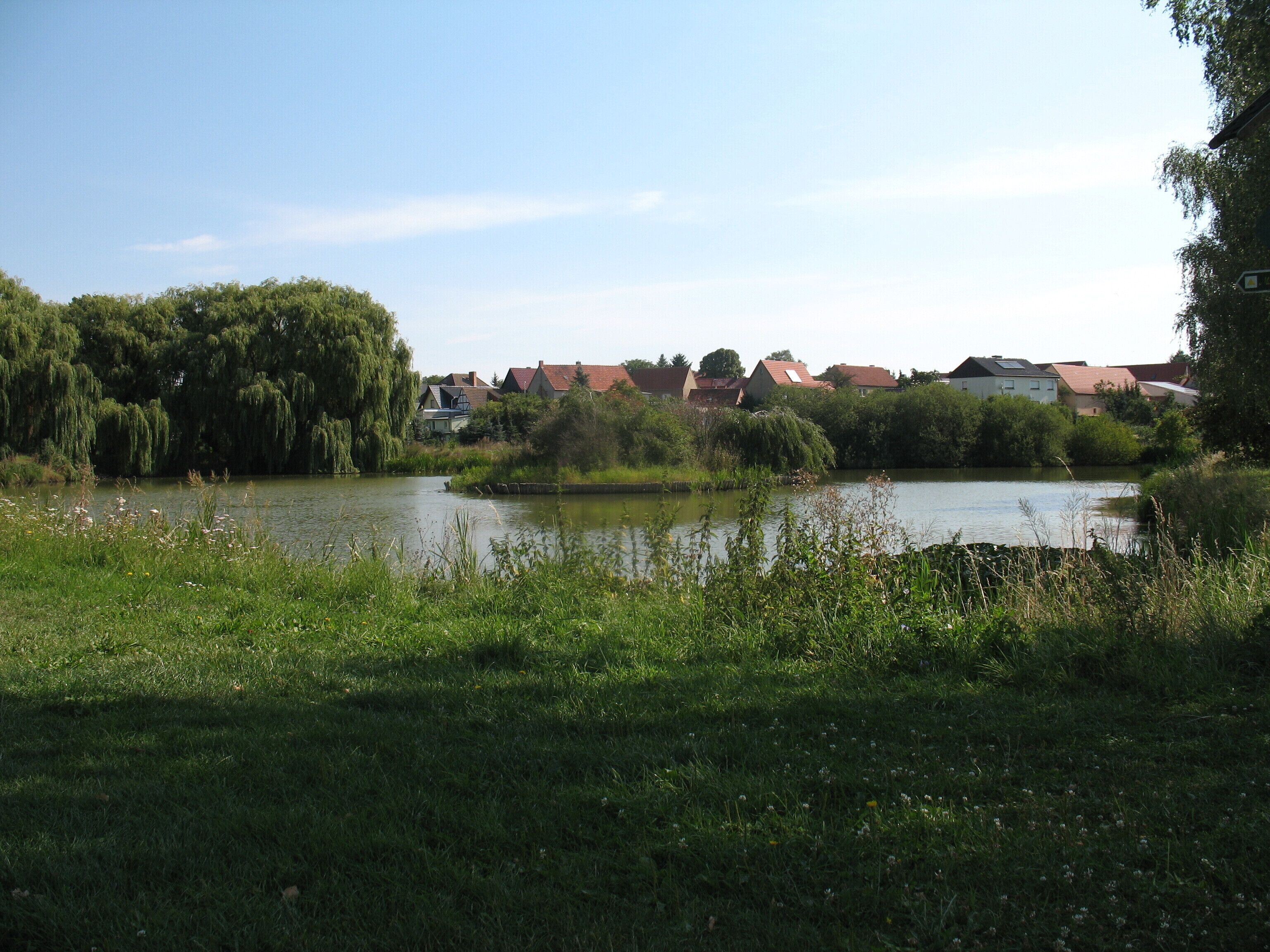 A calm river with houses in the background.