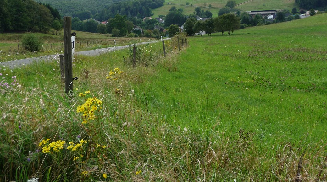 Von Nockenthal nach Hußweiler