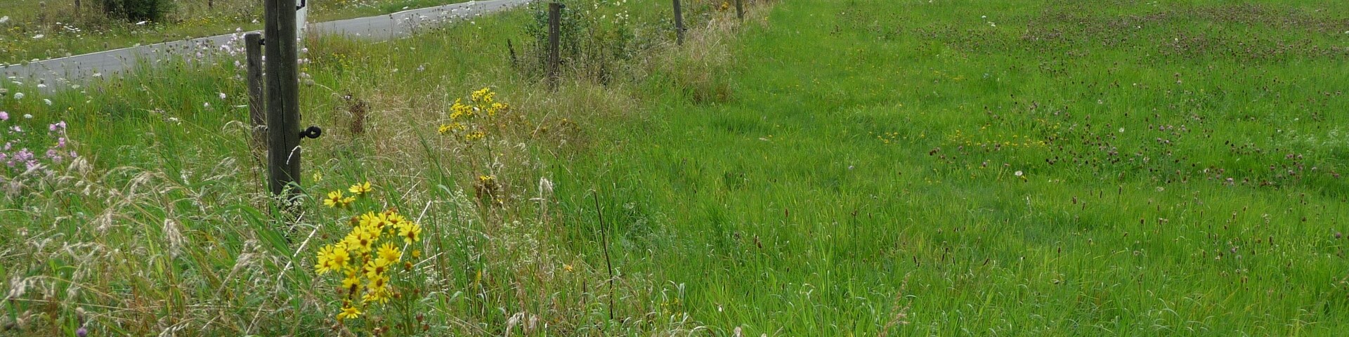 Von Nockenthal nach Hußweiler