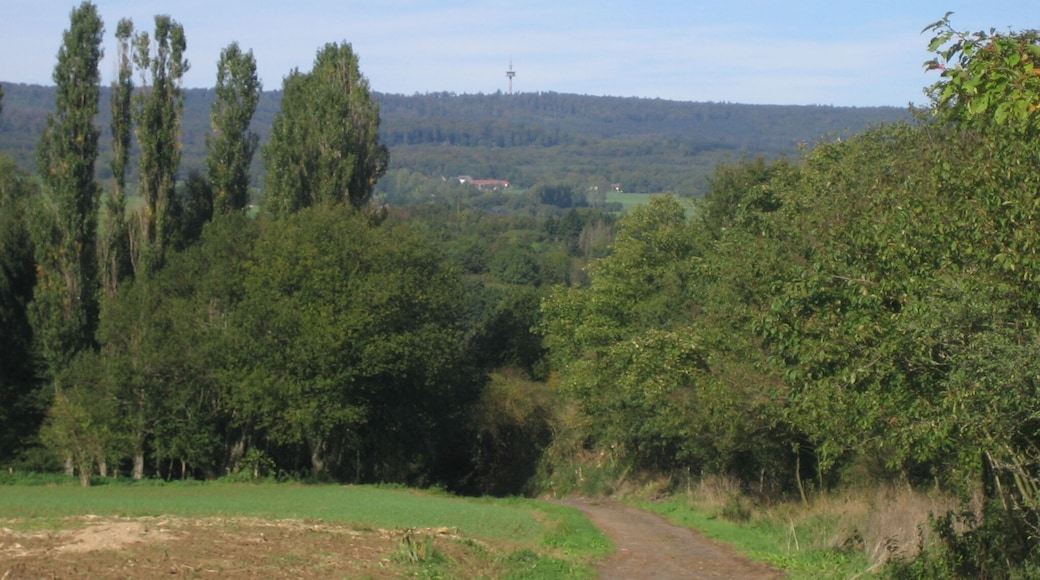 Kreershäuschen mit Ellerspring von Alt-Rehbach aus