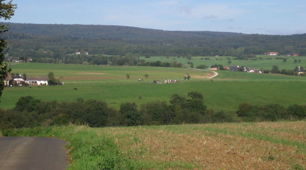 Blick in den Soonwald - Von links Ippenschied, Kreershäuschen, Winterbach und Kuhpferch