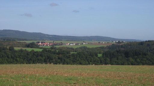 Ippenschied - von Alt-Rehbach aus