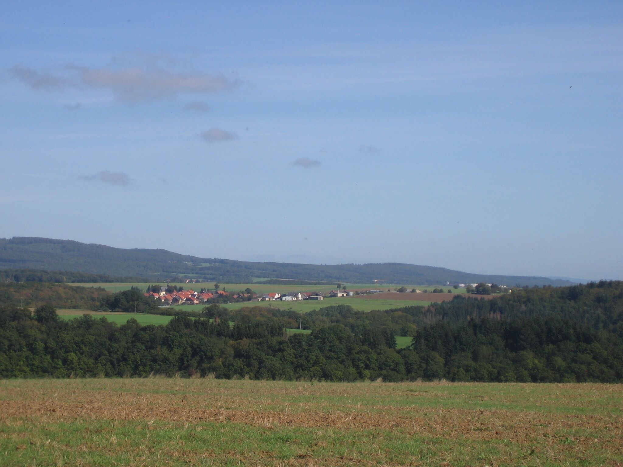 A rural landscape with rolling hills, a small village, and a dense forest.