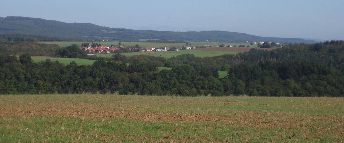 A rural landscape with rolling hills, a small village, and a dense forest.