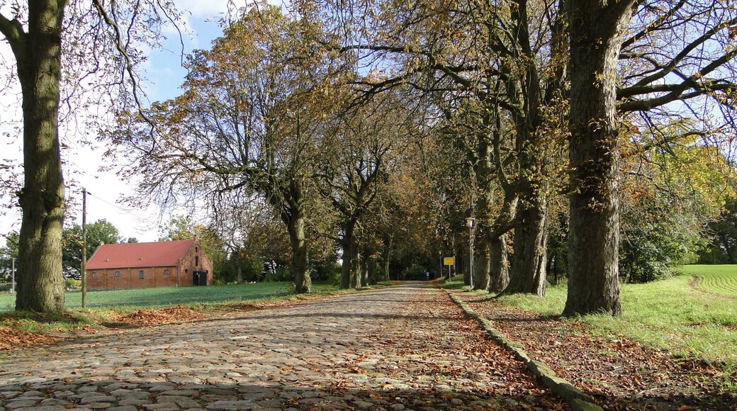 Cobblestone road, avenue to Dessin, district Ludwigslust-Parchim, Mecklenburg-Vorpommern, Germany