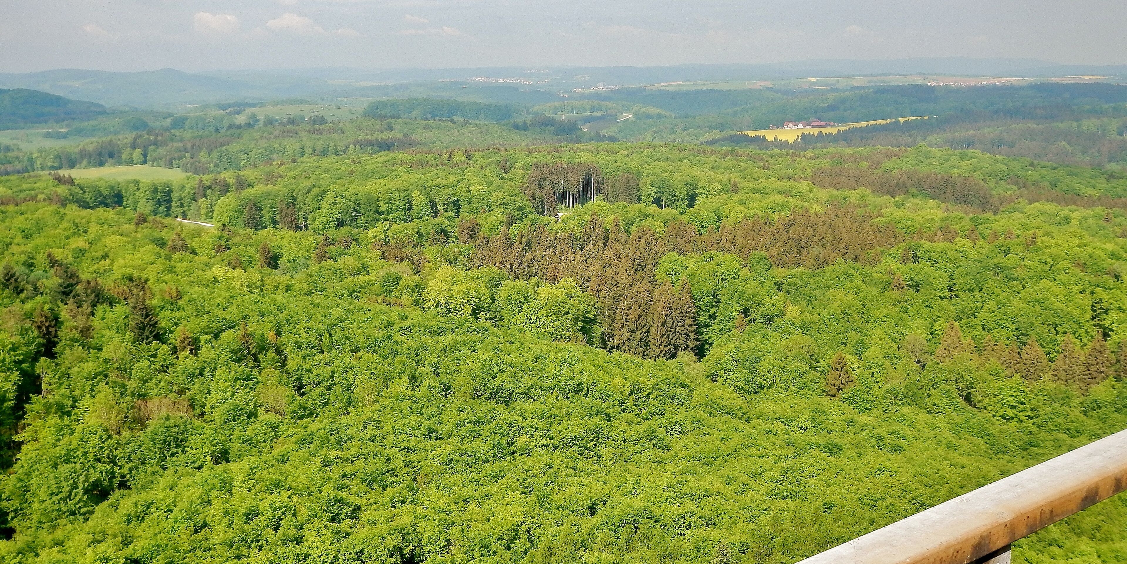 Herzstück des Biosphärengebiets der schwäbischen Alb: Der ehemalige Truppenübungsplatz Münsingen im sogenannten Münsinger Hardt: Ausblick vom Turm Hursch
