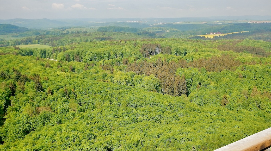 Herzstück des Biosphärengebiets der schwäbischen Alb: Der ehemalige Truppenübungsplatz Münsingen im sogenannten Münsinger Hardt: Ausblick vom Turm Hursch