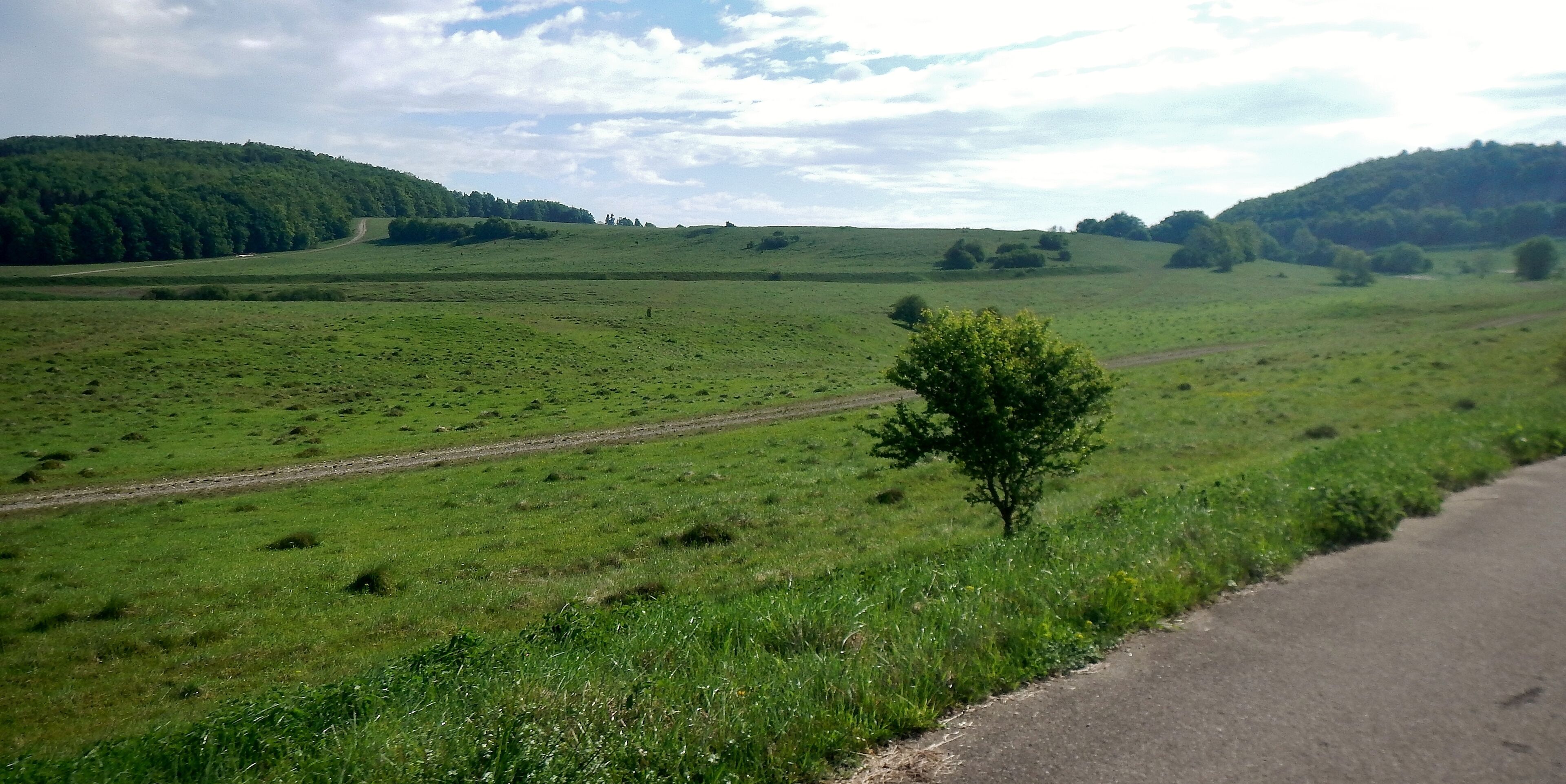 Herzstück des Biosphärengebiets der schwäbischen Alb: Der ehemalige Truppenübungsplatz Münsingen im sogenannten Münsinger Hardt