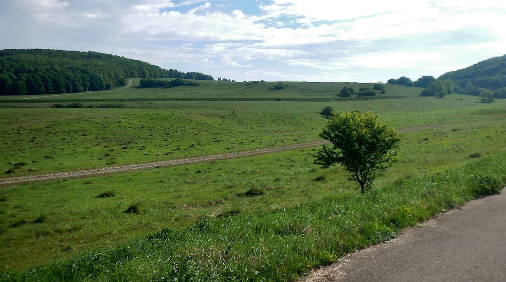 Herzstück des Biosphärengebiets der schwäbischen Alb: Der ehemalige Truppenübungsplatz Münsingen im sogenannten Münsinger Hardt
