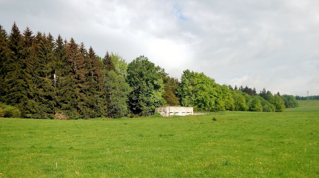 Herzstück des Biosphärengebiets der schwäbischen Alb: Der ehemalige Truppenübungsplatz Münsingen im sogenannten Münsinger Hardt