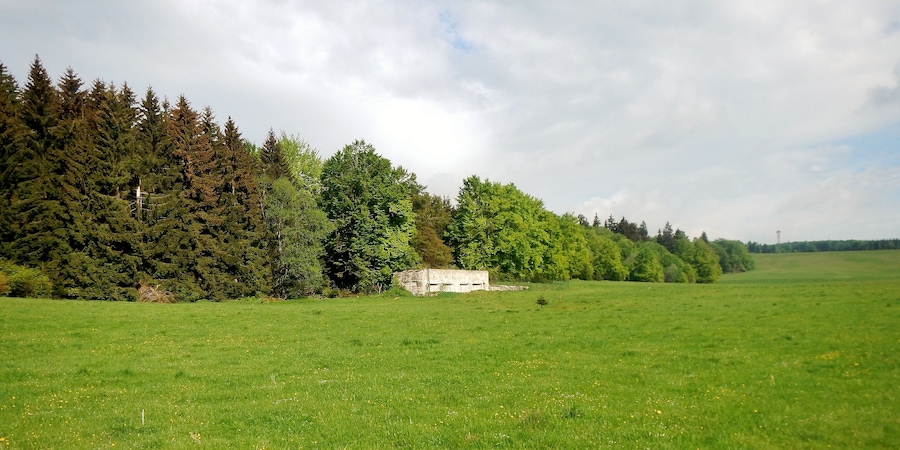 A grassy field with a stone structure and dense trees in the background.
