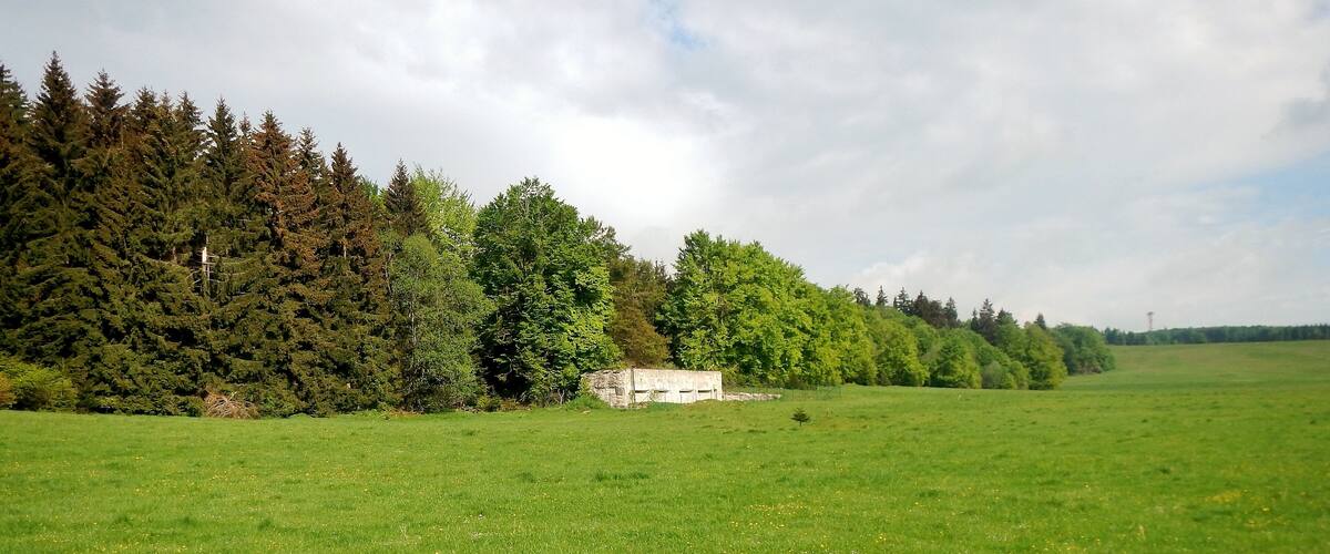 A grassy field with a stone structure and dense trees in the background.