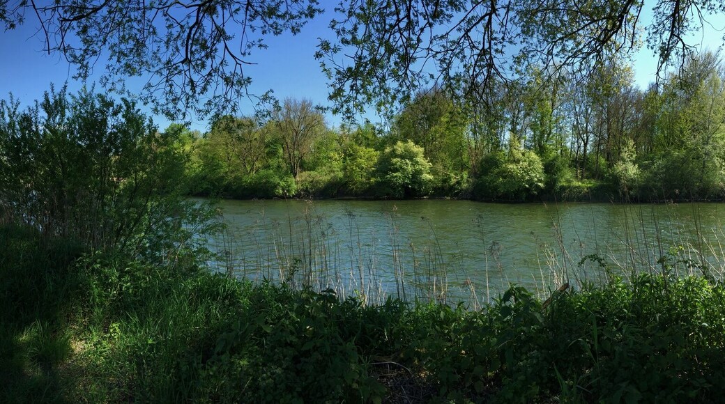 Mündung des Lechs (rechts) in die Donau (links) bei Marxheim