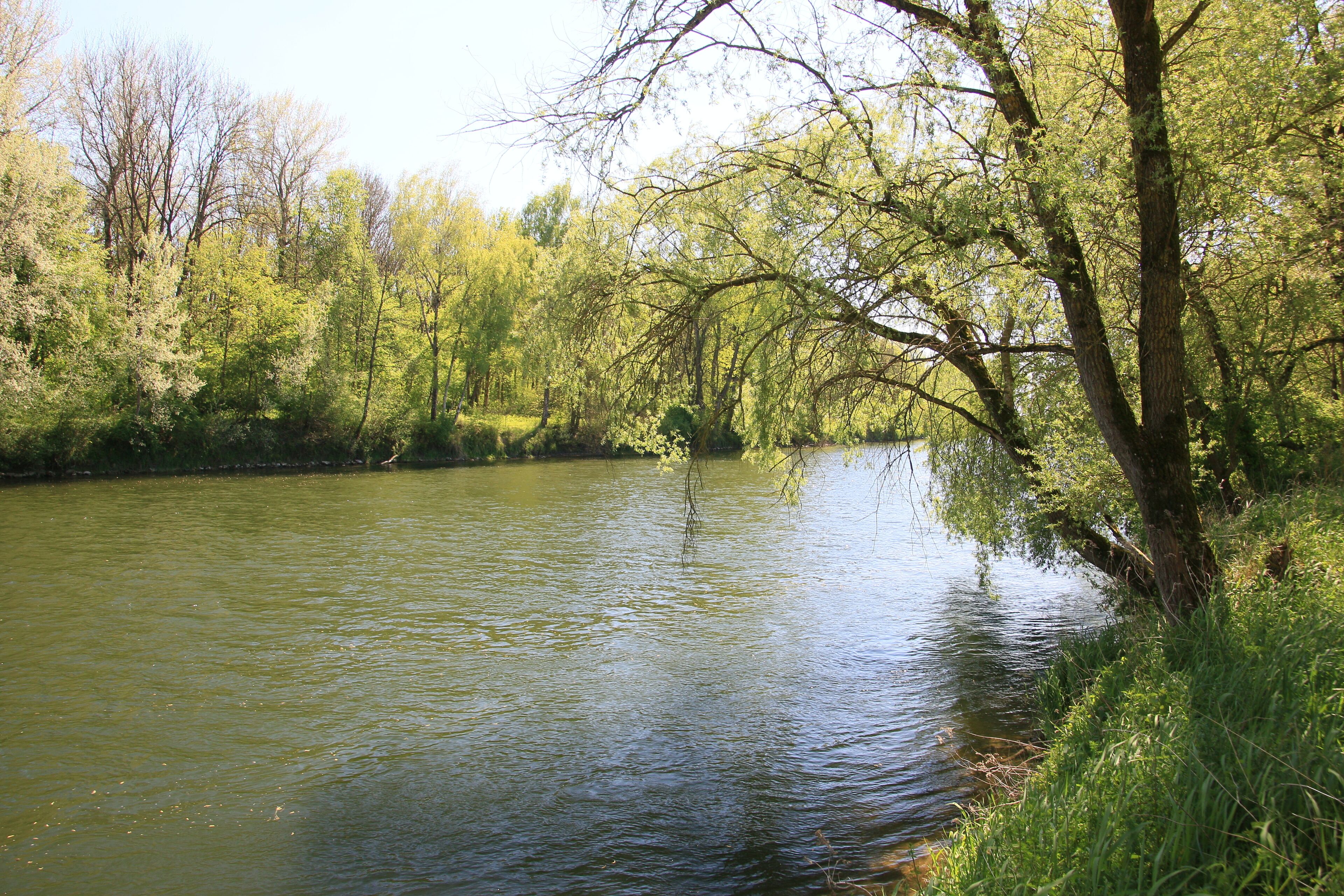 Blick auf das nördliche Donauufer