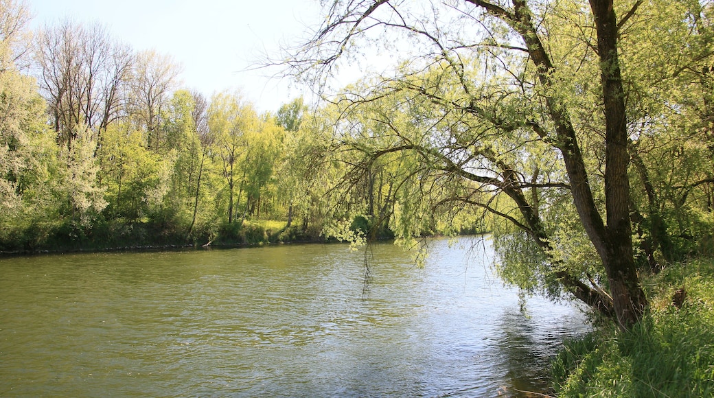 Blick auf das nördliche Donauufer