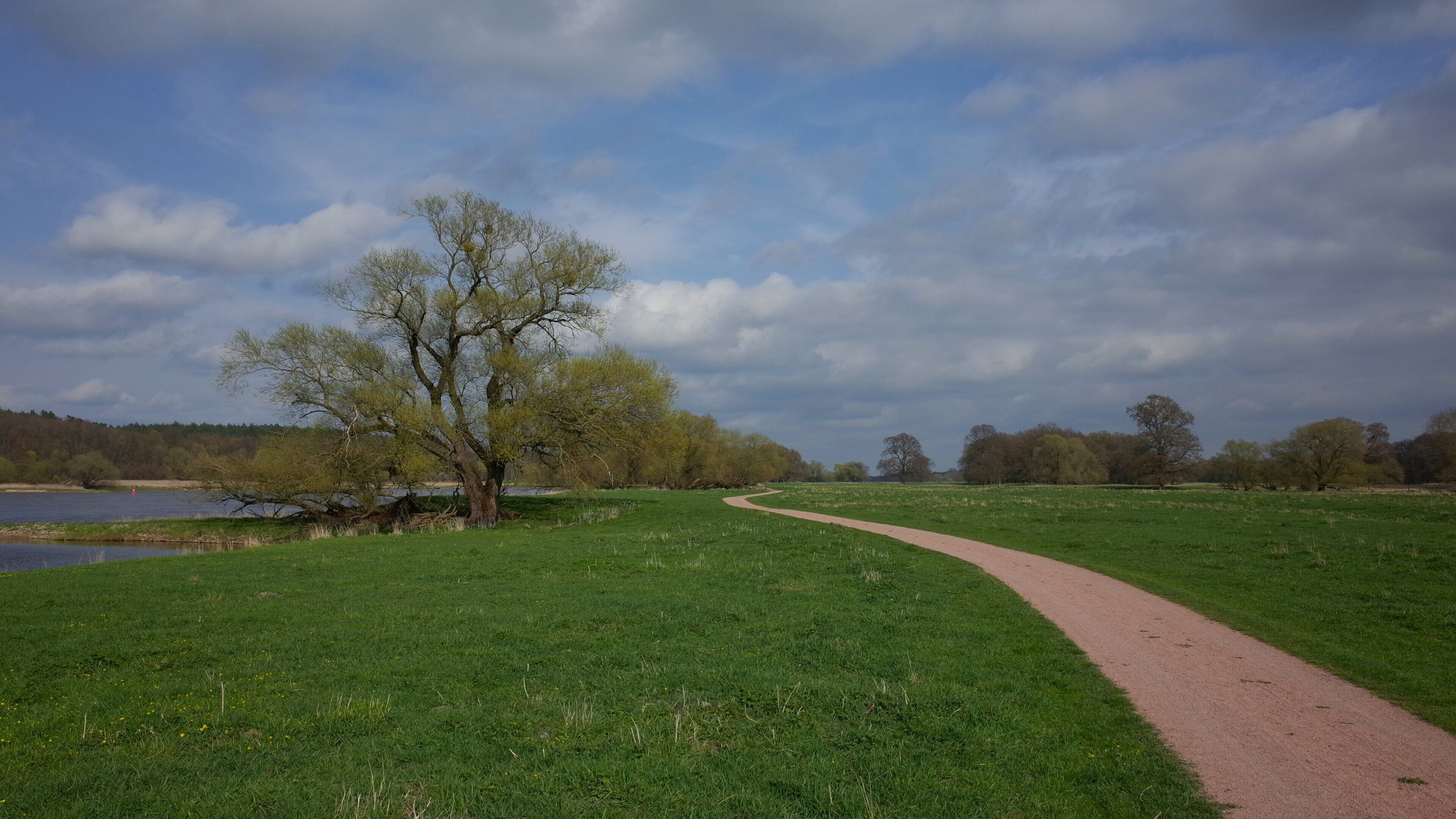 Radweg zwischen Aken und Dessau-Roßlau an der Elbe.FFH-Gebiet Nr. 4138-301, Kühnauer Heide und Elbaue zwischen Aken und Dessau.[1]