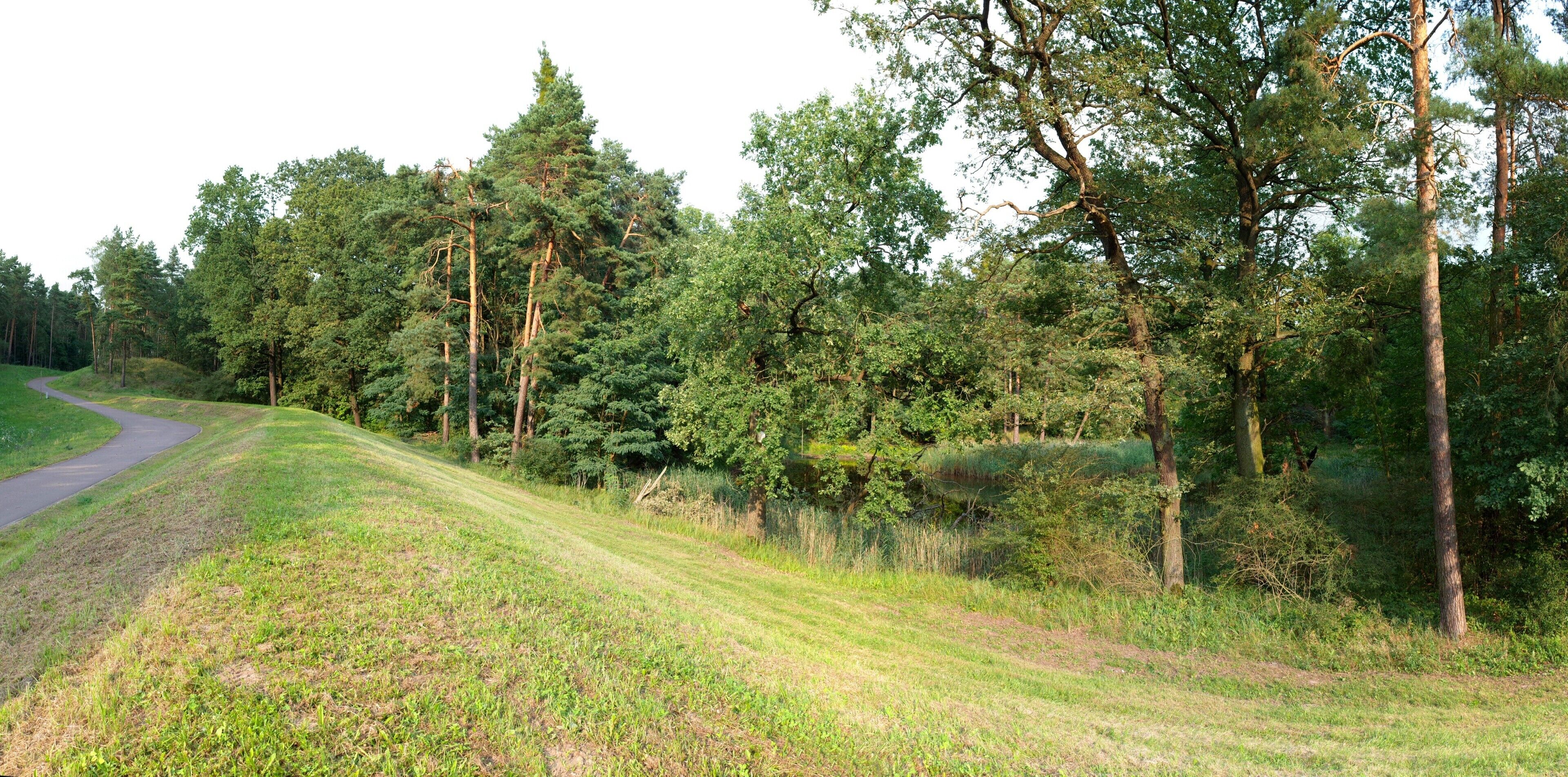 Dessau, Flächenhaftes Naturdenkmal Hochwasserschutzwall am Akenschen Torhaus.