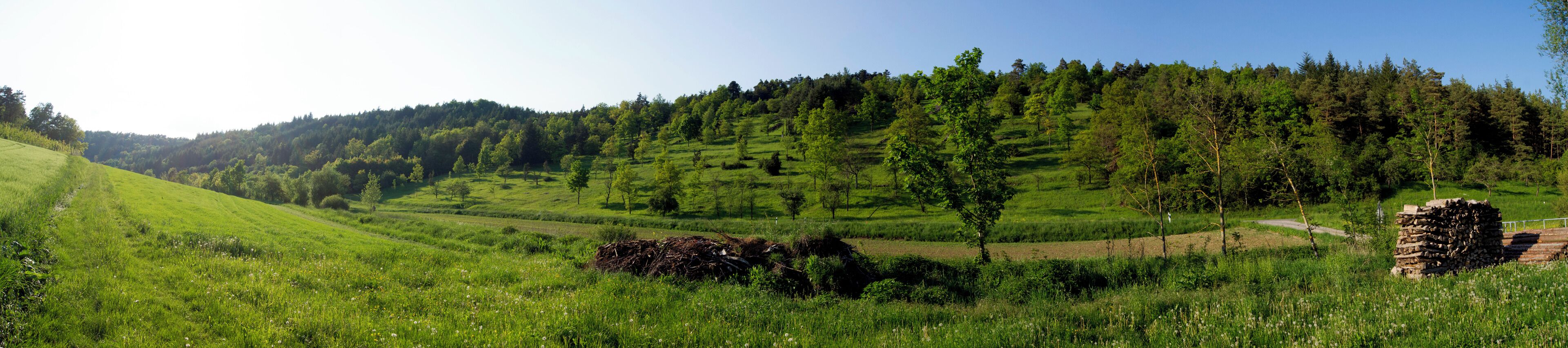 Blick vom Waldstetter Hohlgraben auf den Heinzenberg (unteren Teil des freien Hügels), Stein (oberer Teil des freien Hügels), Untere Klinge (links)