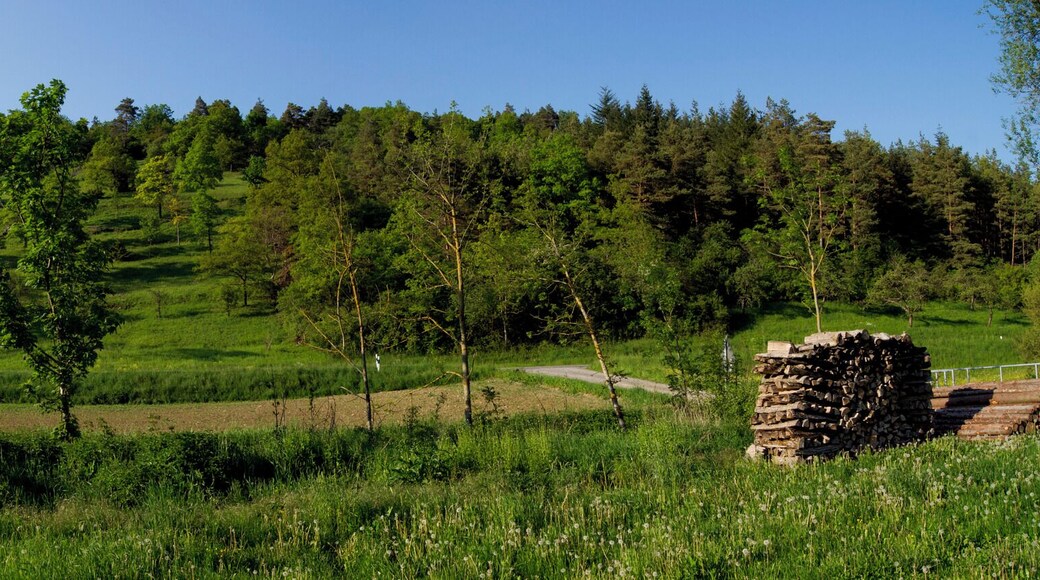 Blick vom Waldstetter Hohlgraben auf den Heinzenberg (unteren Teil des freien Hügels), Stein (oberer Teil des freien Hügels), Untere Klinge (links)