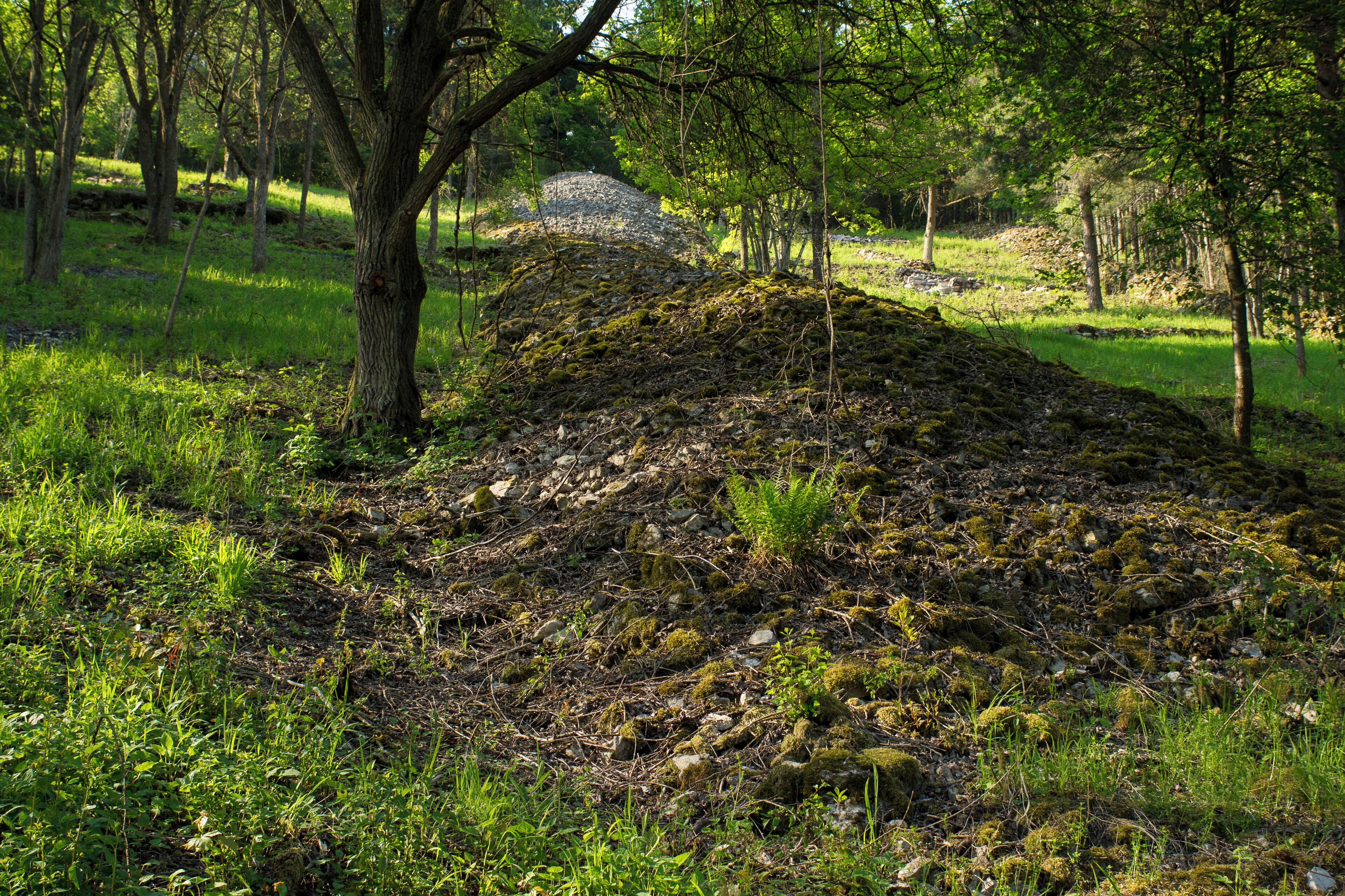 Lesesteinriegel im Waldstetter Tal