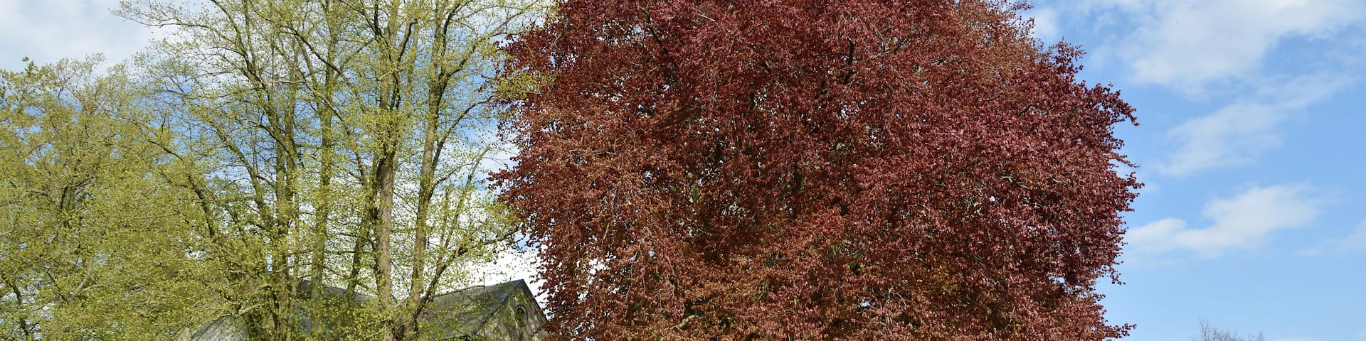 This image was uploaded as part of Wiki Loves Earth 2015.