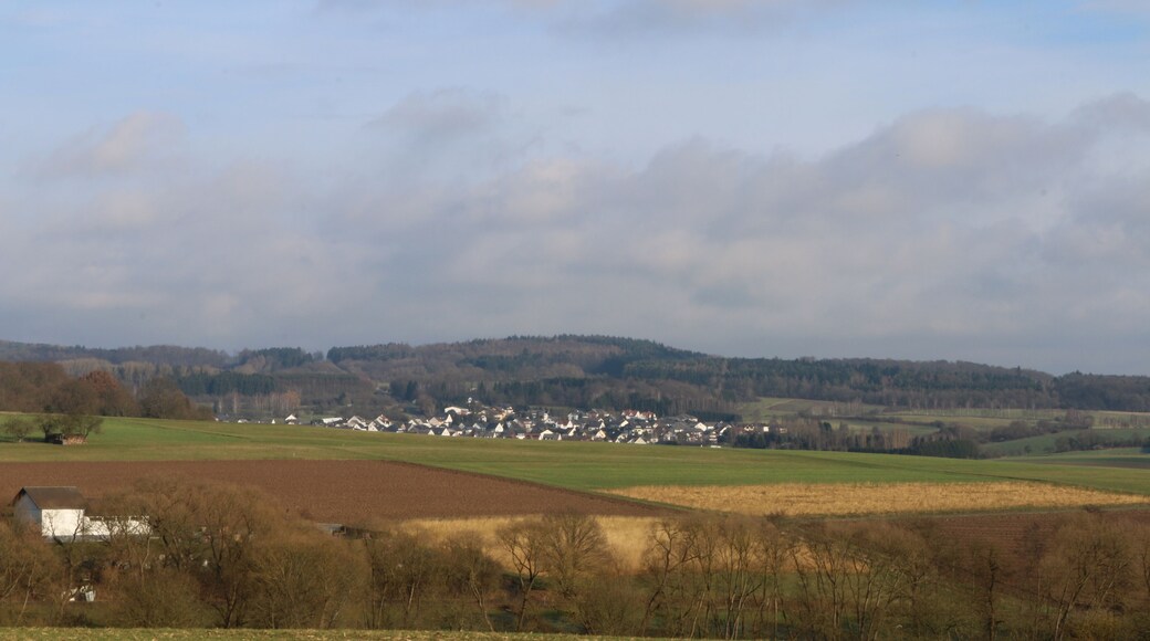 Lahr im Westerwald:Panoramaaufnahme mit dem Backenscheid im Hintergrund