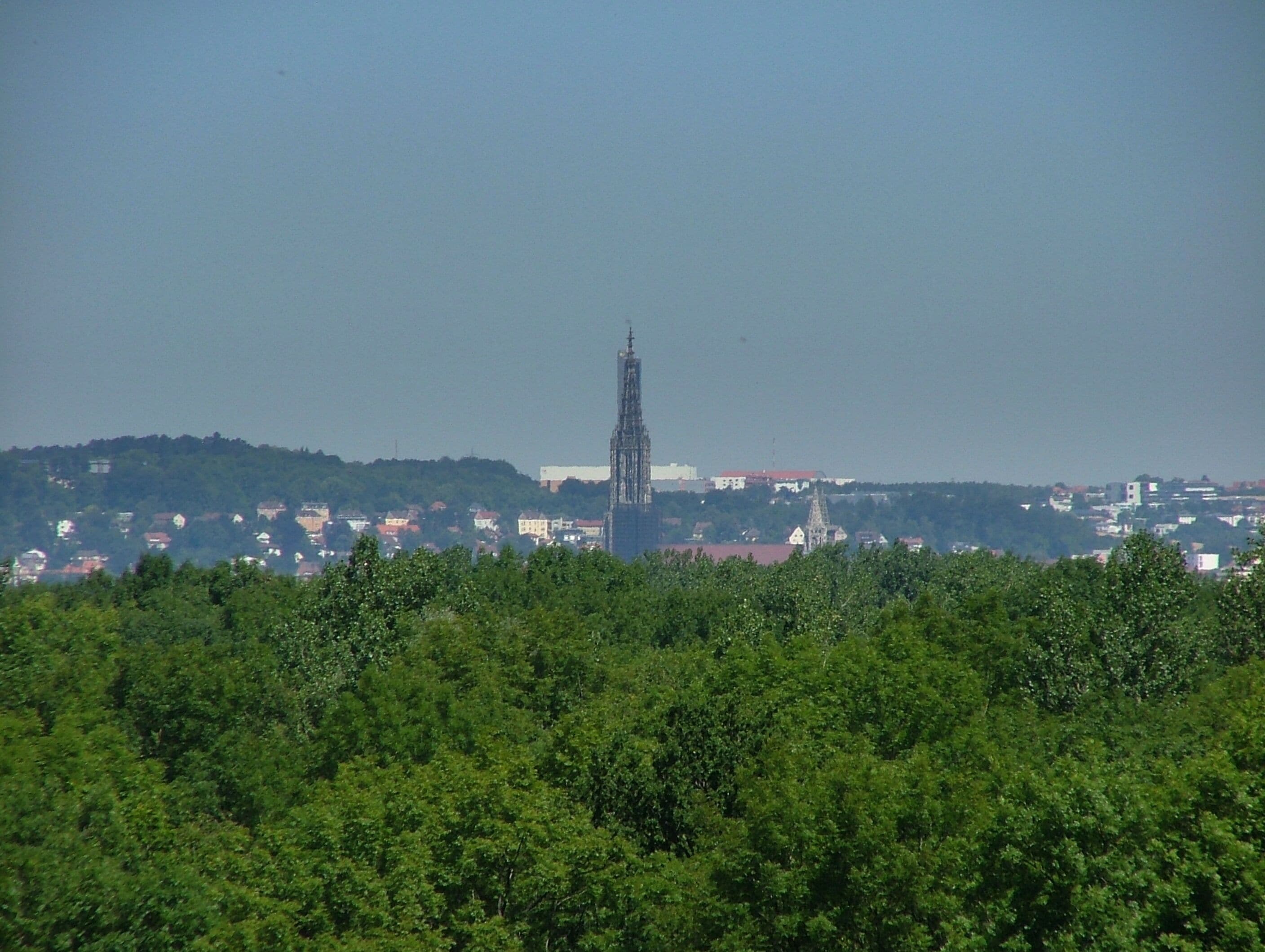 A cityscape with a prominent church tower, surrounded by dense green foliage.