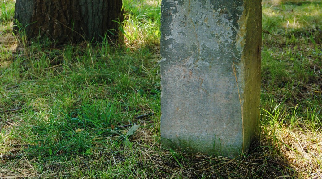 This media shows the protected monument of Saxony with the ID 09286625 KDSa/09286625(other).