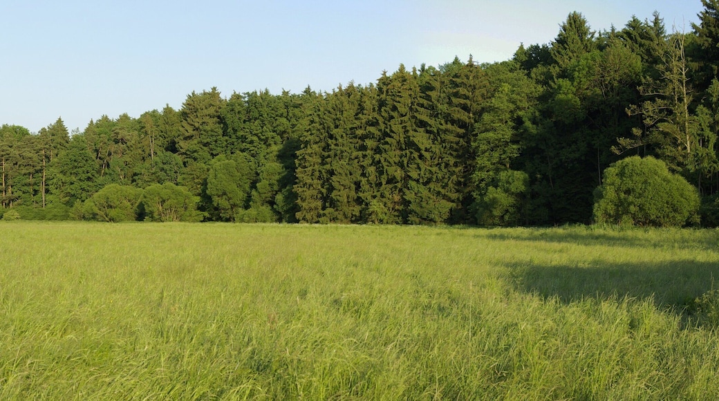 Blick ĂŒber das Zenntal bei Rothenberg (Obermichelbach), rechts der Zennwald.