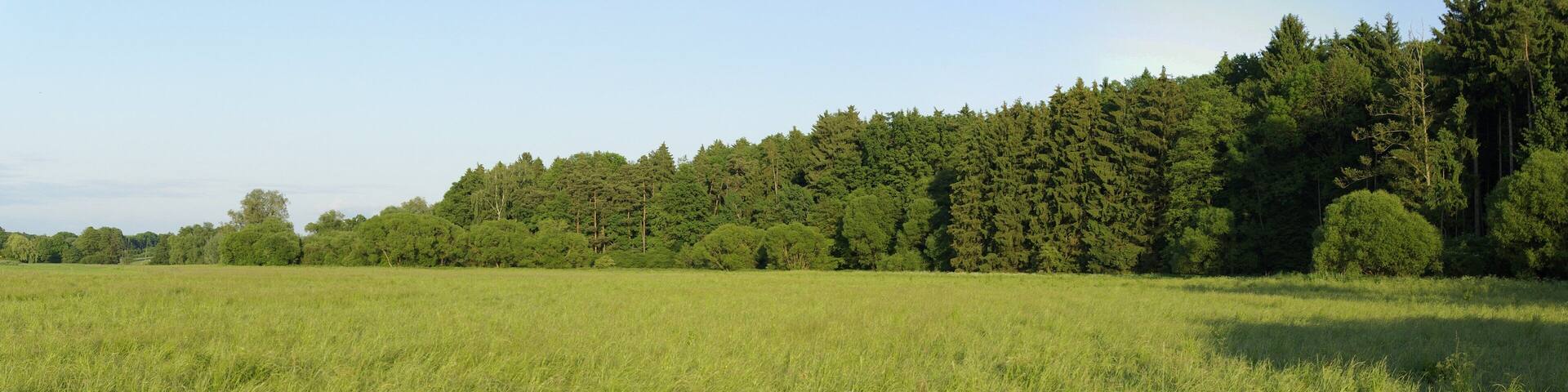 Blick über das Zenntal bei Rothenberg (Obermichelbach), rechts der Zennwald.