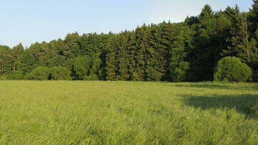 Blick über das Zenntal bei Rothenberg (Obermichelbach), rechts der Zennwald.