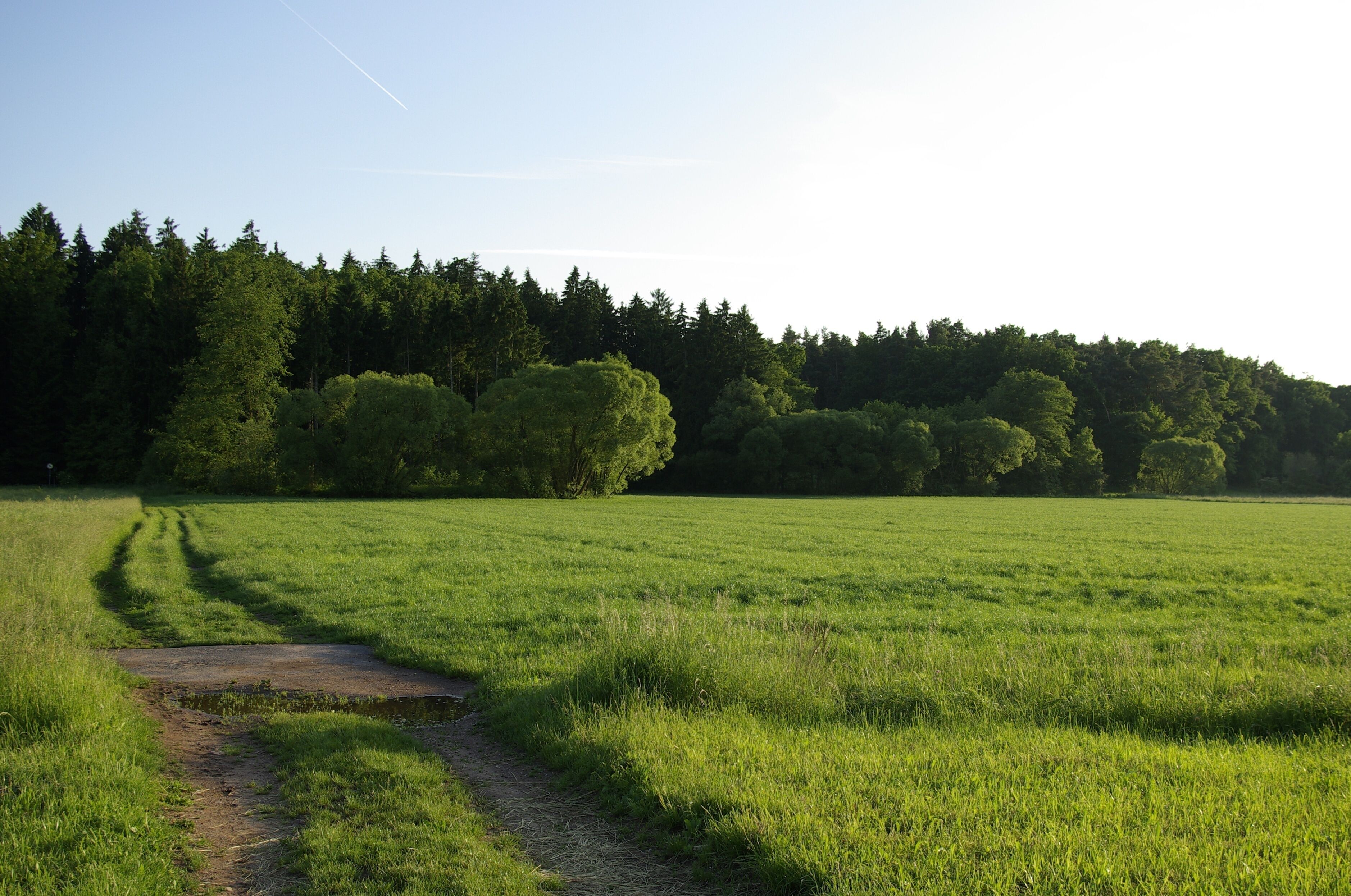 Das Zenntal bei Rothenberg (Obermichelbach), im Hintergrund der Zennwald.