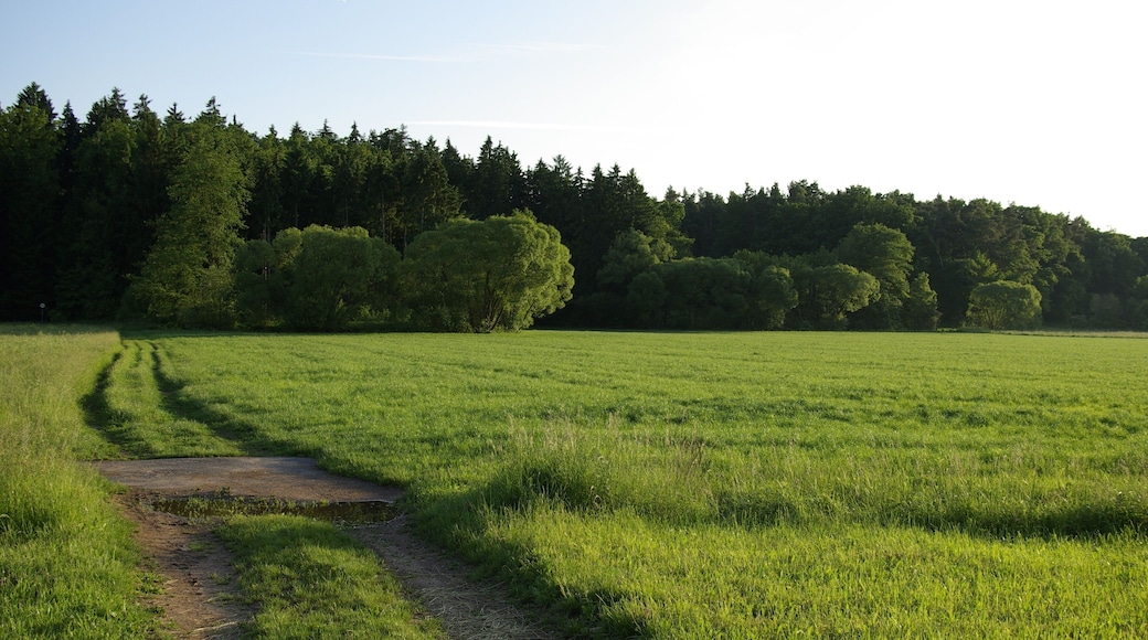 Das Zenntal bei Rothenberg (Obermichelbach), im Hintergrund der Zennwald.