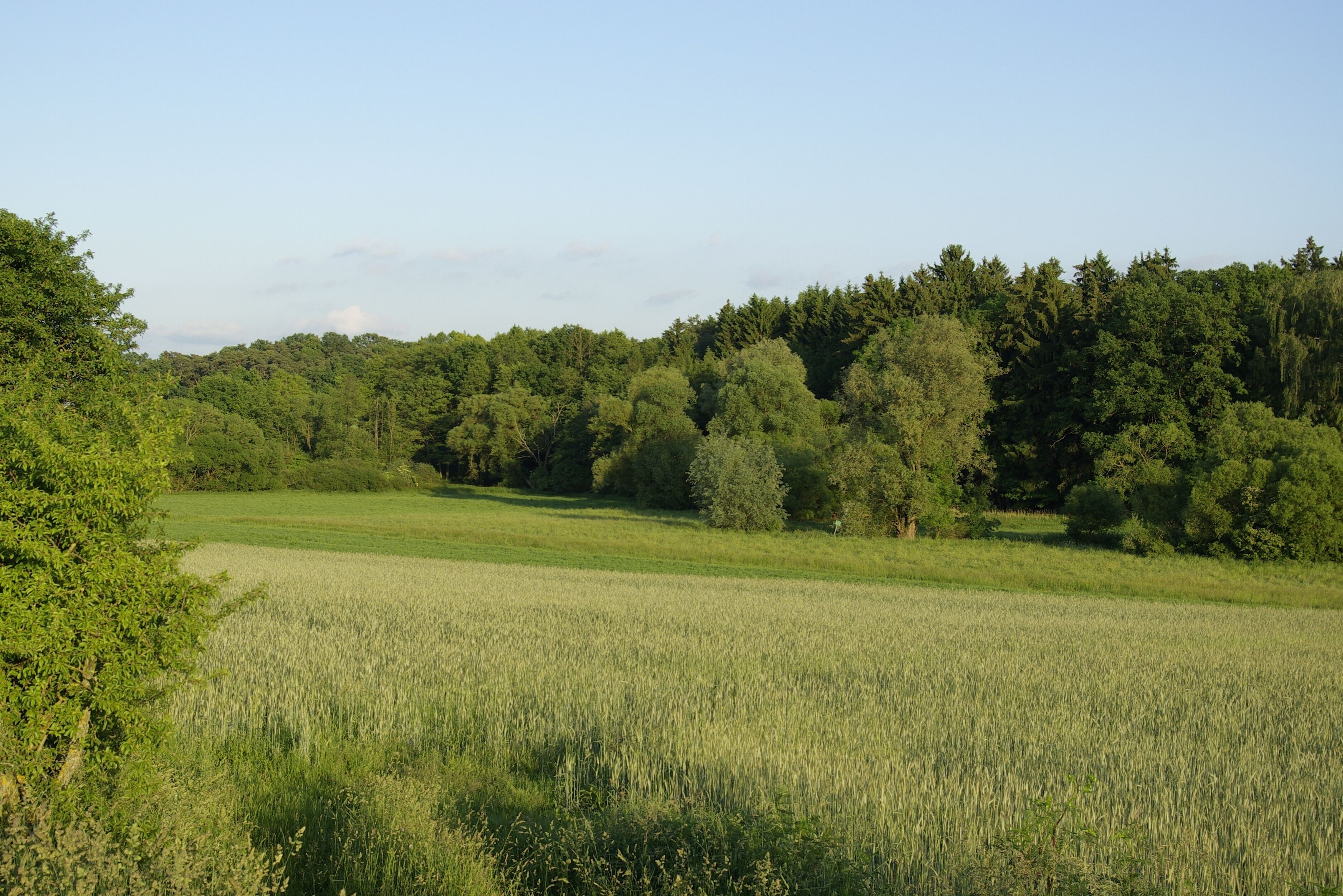 Das Zenntal bei Rothenberg (Obermichelbach), im Hintergrund der Zennwald.