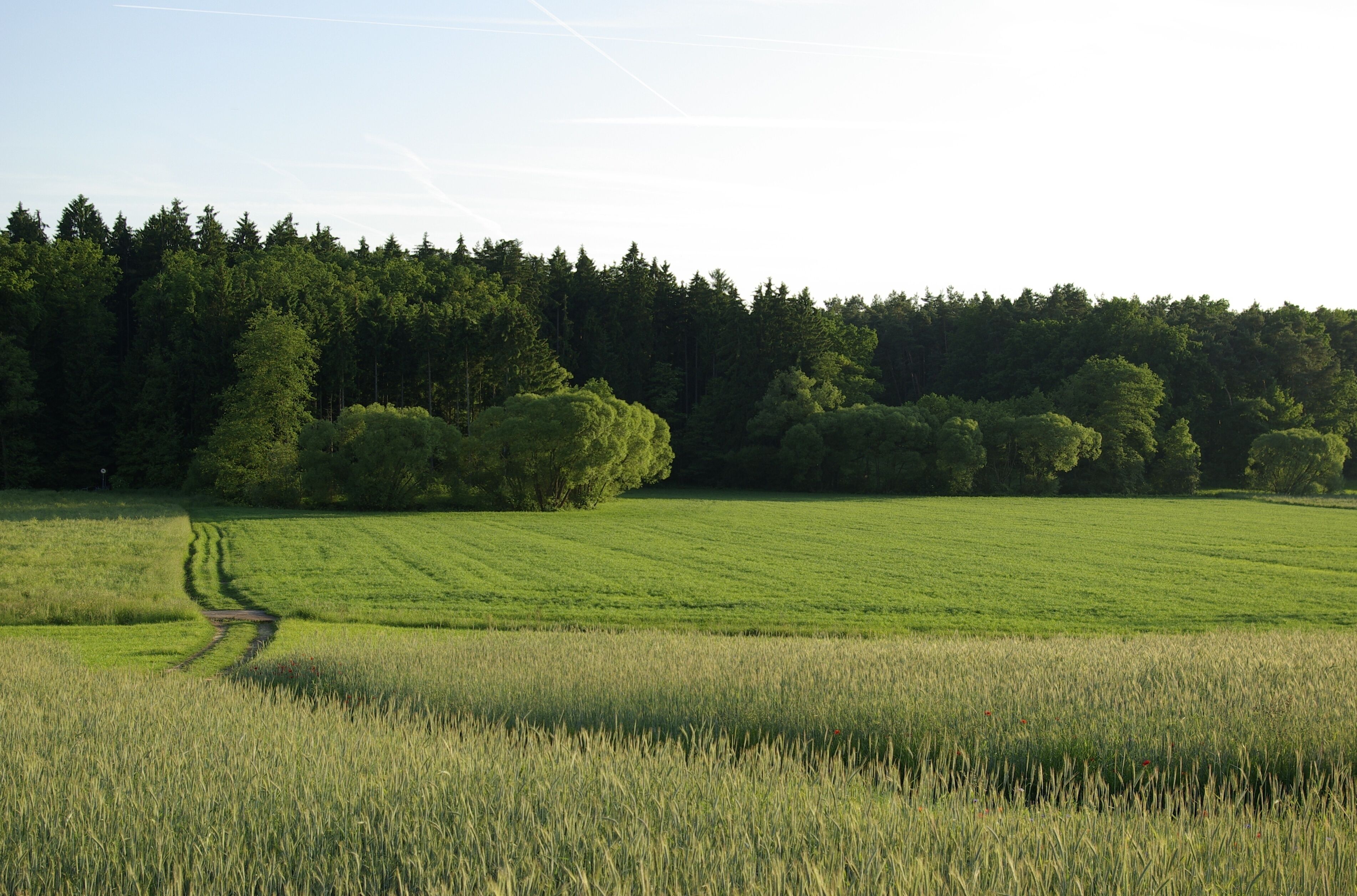 Das Zenntal bei Rothenberg (Obermichelbach), im Hintergrund der Zennwald.