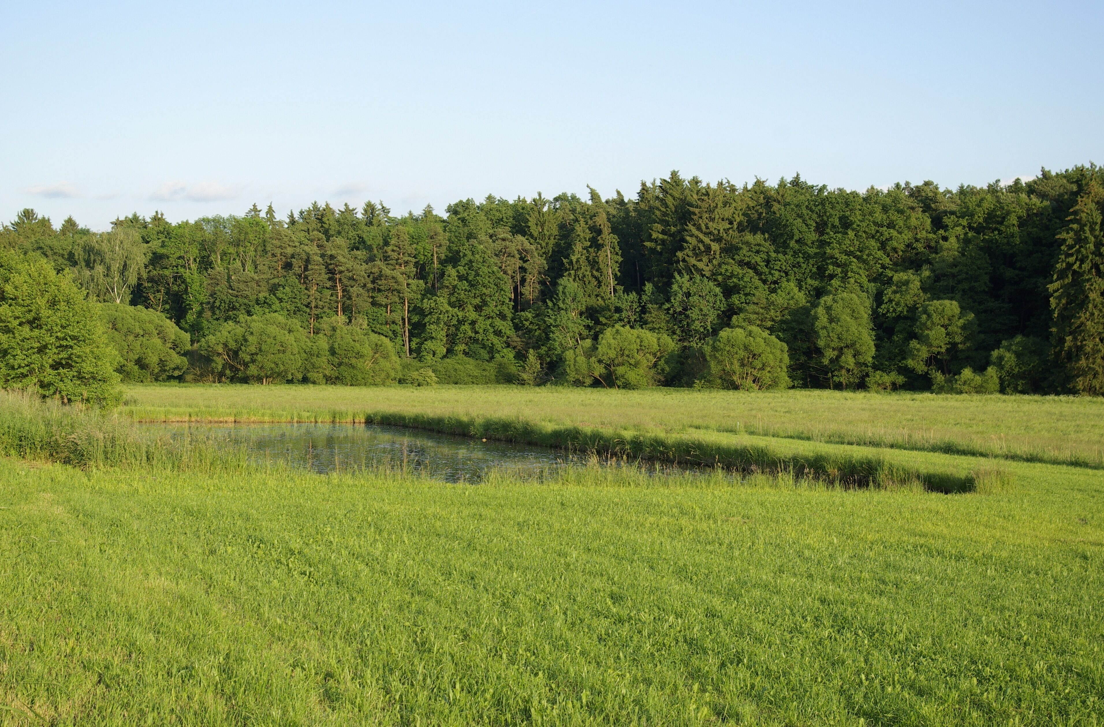 Das Zenntal bei Rothenberg (Obermichelbach), im Hintergrund der Zennwald.