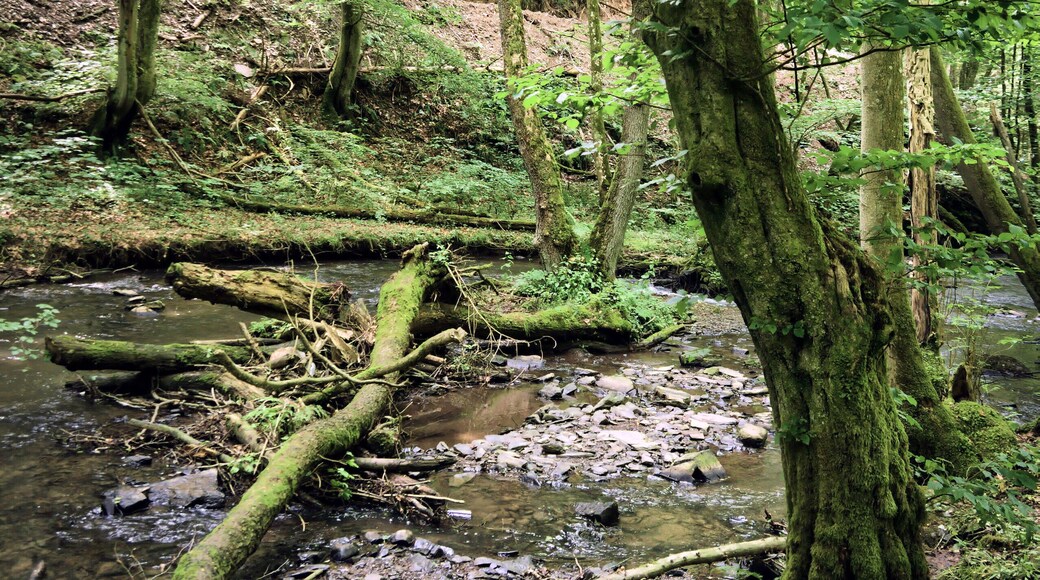 This image was uploaded as part of Wiki Loves Earth 2018.