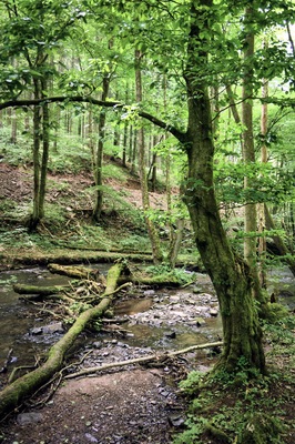 This image was uploaded as part of Wiki Loves Earth 2018.