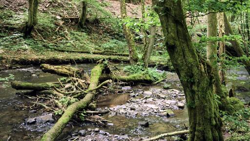 This image was uploaded as part of Wiki Loves Earth 2018.