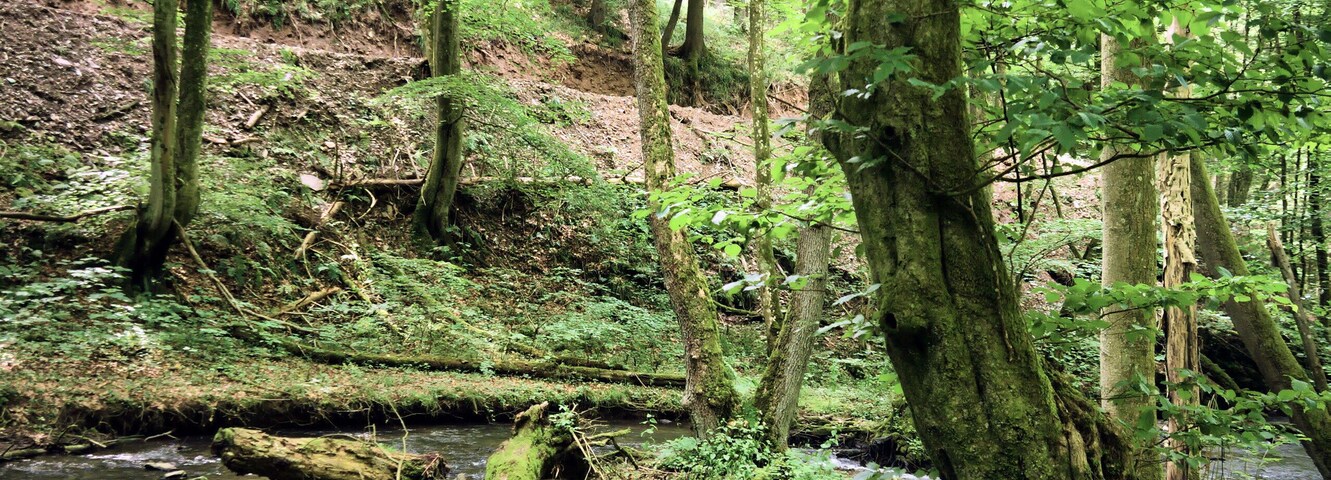 This image was uploaded as part of Wiki Loves Earth 2018.