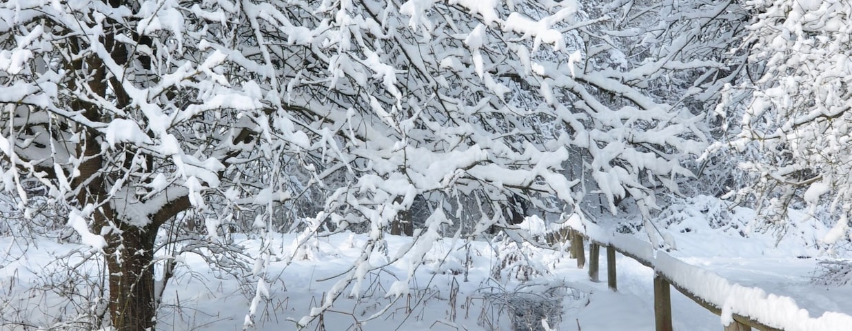 Winter in the Wiesental Altneckar