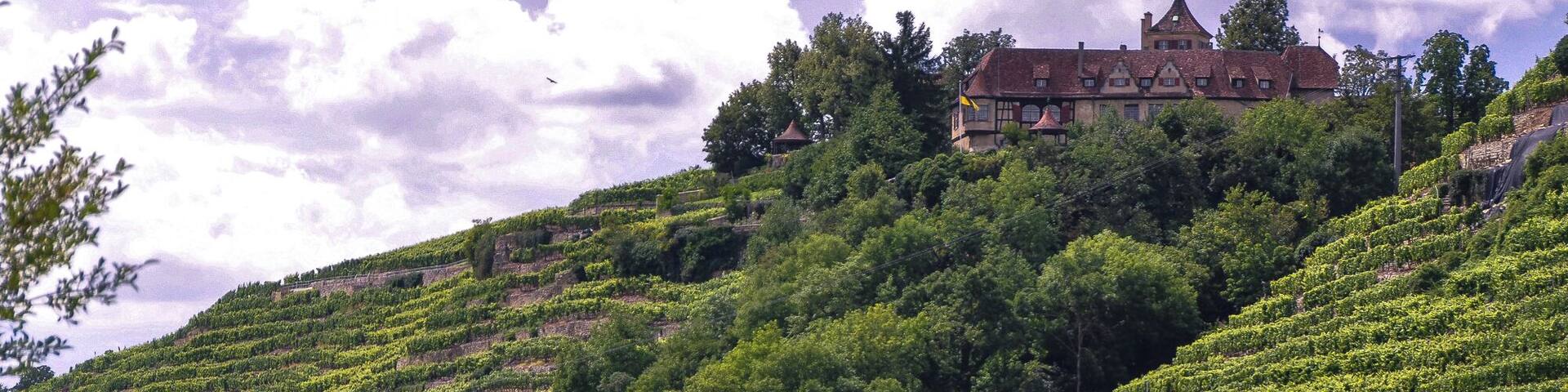 castle of Kleiningersheim, nice to see on top of the Neckar valley