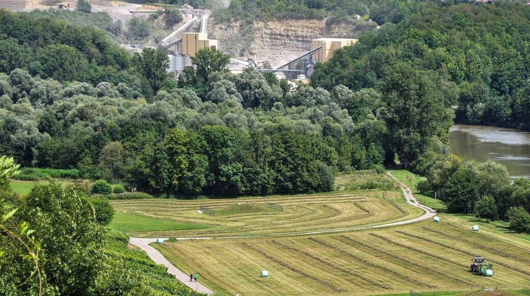 Where the meadows end, the Nature reserve called "Upper valley" begins. On the other side of the Neckar river you see a quarry. Nature reserve and use of nature next to each other, only separated by the river.