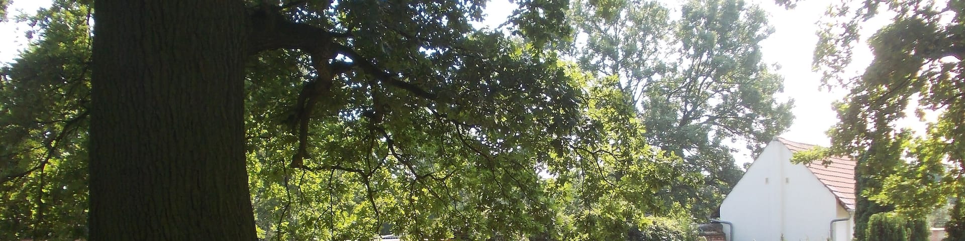 Friedhof Kunersdorf bei Wriezen