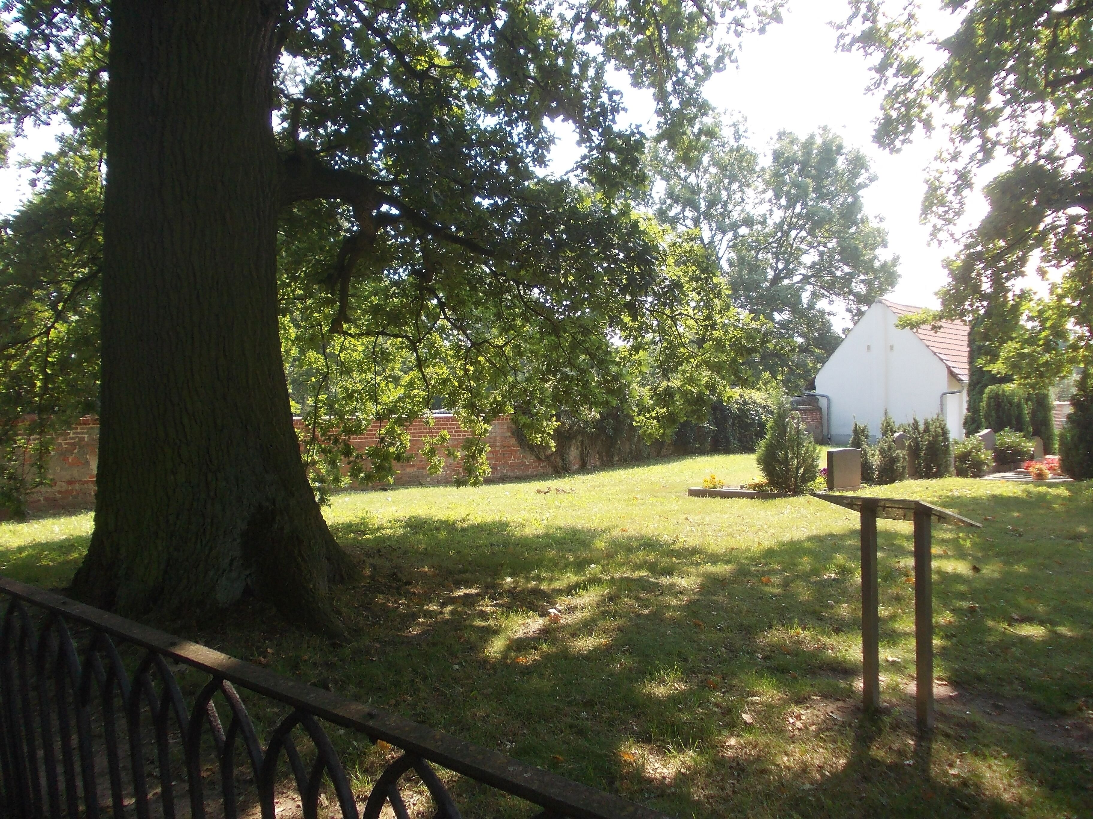 A grassy area with a large tree, a white building, and a brick wall.