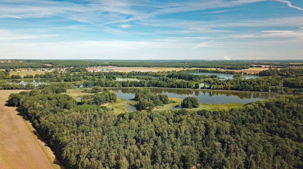 Ponds near Döbra (Oßling, Saxony, Germany)