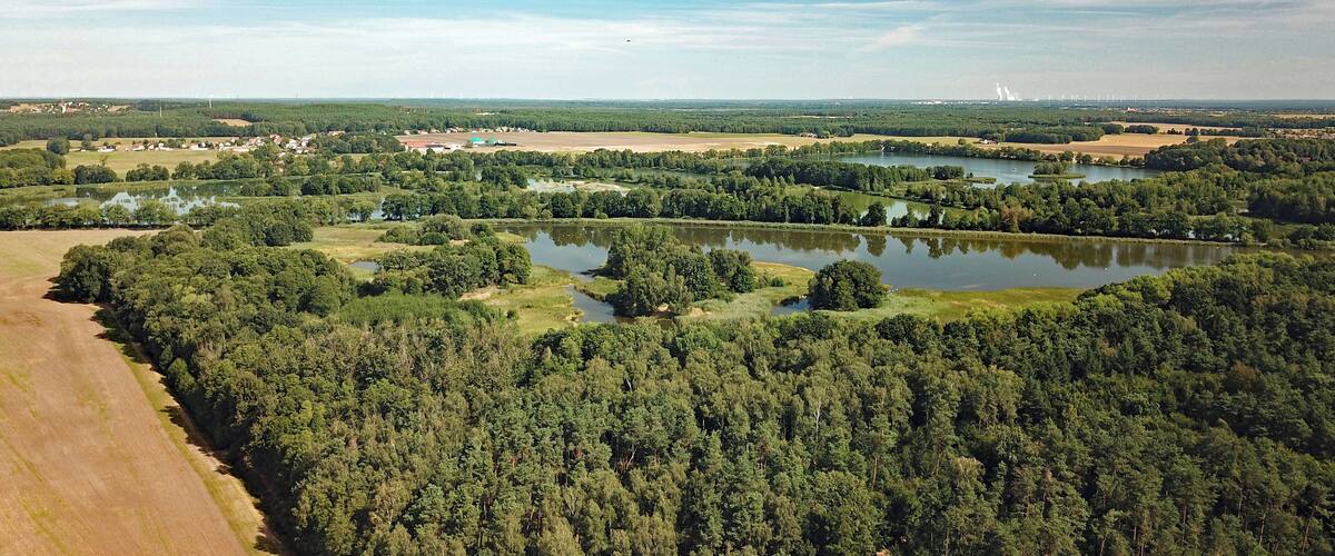 Ponds near Döbra (OĂling, Saxony, Germany)